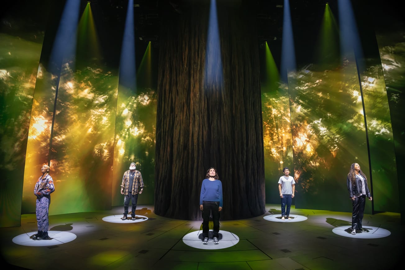 The Broadway Review: ‘Redwood’ is a good-natured but mundane musical